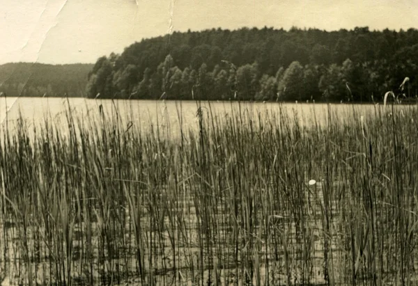 Antik német fénykép — Stock Fotó