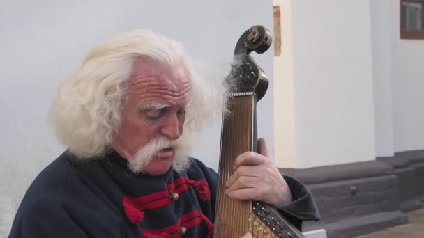 Musiker spielt ein ukrainisches Instrument Bandura — Stockvideo