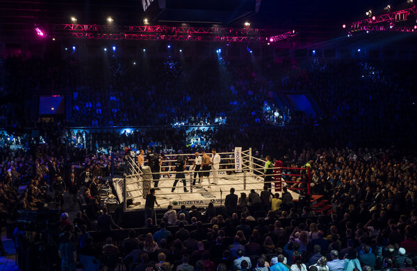 Fight between A.Usyk and A. Knyazev