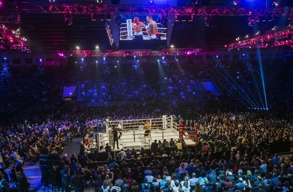 Fight between A.Usyk and A. Knyazev — Stock Photo, Image