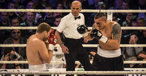 Fight between A.Usyk and A. Knyazev — Stock Photo, Image