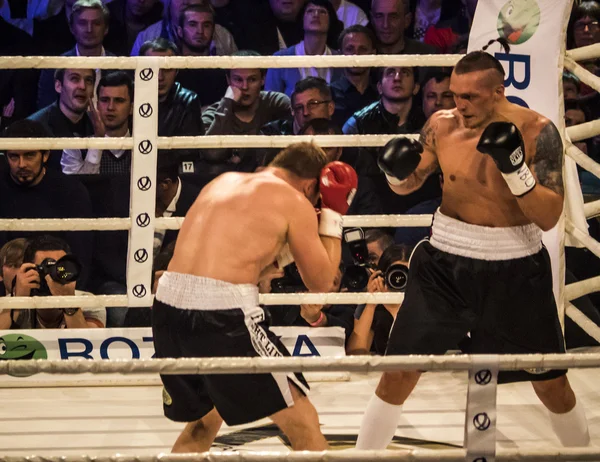 Lutte entre A.Usyk et A. Knyazev — Photo