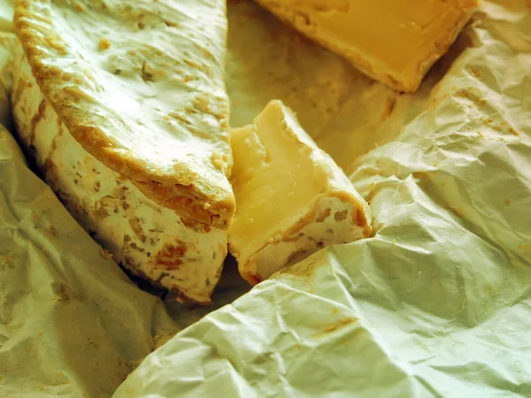 Yumuşak beyaz peynir, yakın çekim — Stok fotoğraf