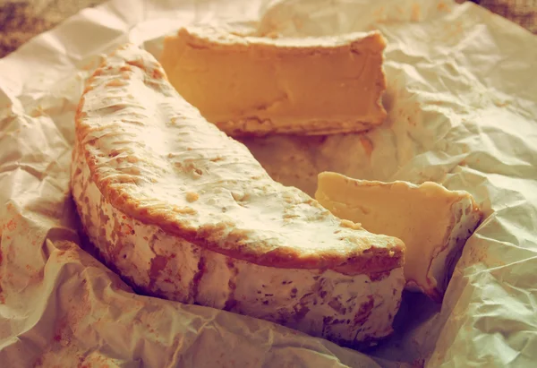 Mjuk vit ost, närbild — Stockfoto