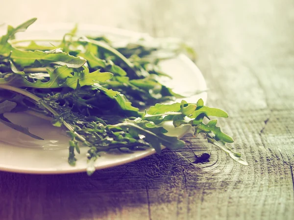 Färska ekologiska rucola — Stockfoto