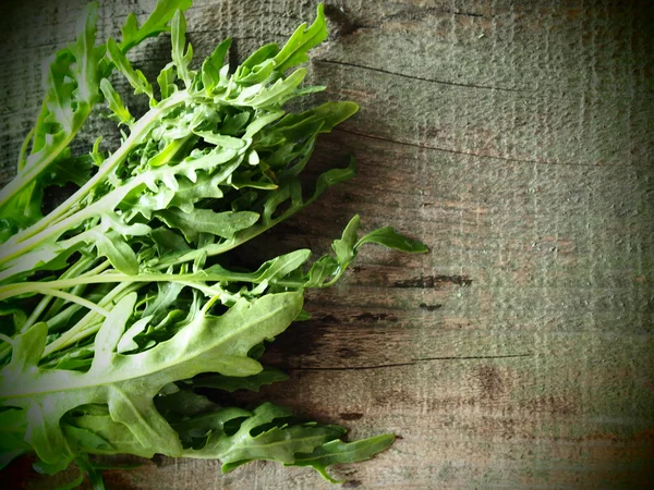 Färska ekologiska rucola — Stockfoto