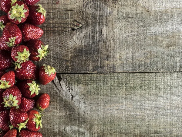 Frische Erdbeere — Stockfoto