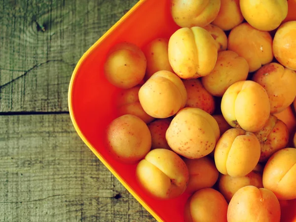 Fresh apricots — Stock Photo, Image