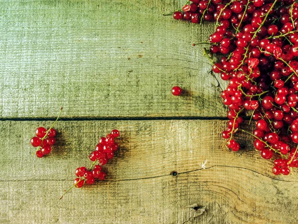 Fresh ripe berries — Stock Photo, Image