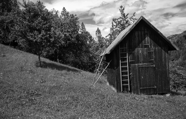 古い薪小屋 — ストック写真