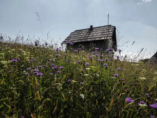 Traditioneel Hutsul huis — Stockfoto