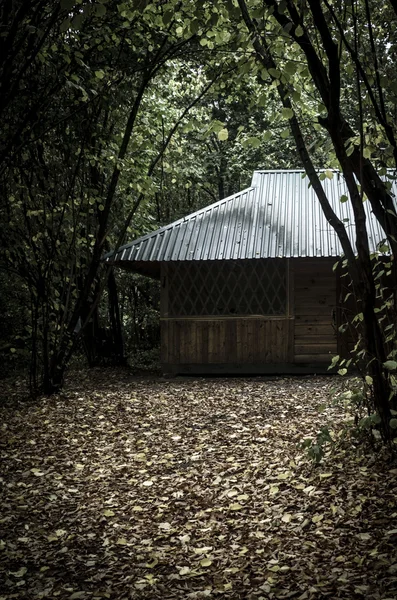 森の中の家 — ストック写真