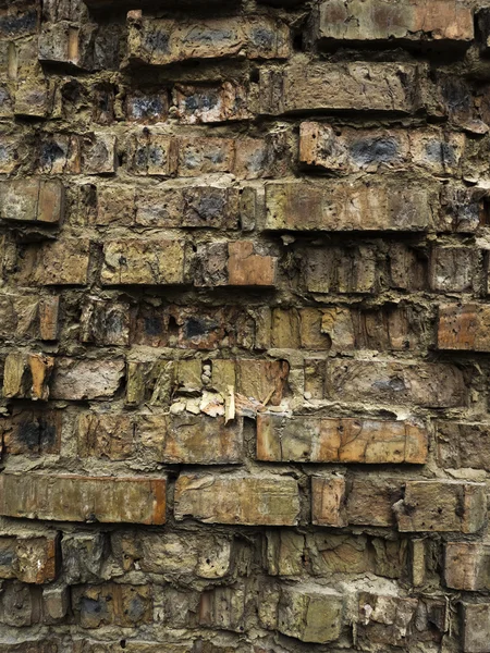 Brick wall texture for background — Stock Photo, Image