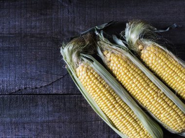 Olgun mısır taneleri