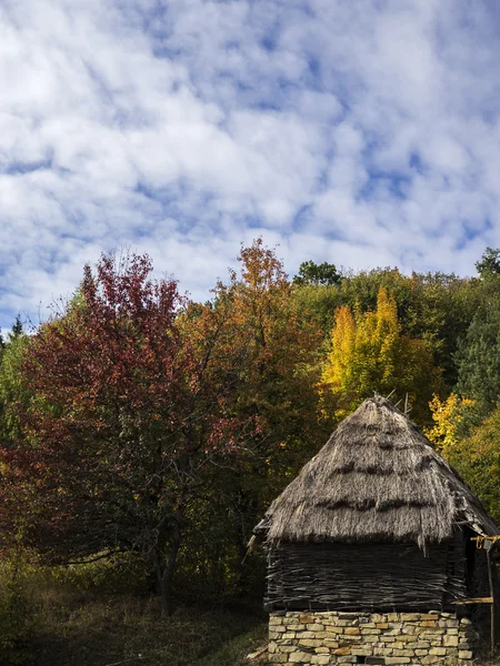 Skjul på bakgrund av skog — Stockfoto