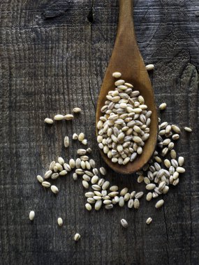 Pearl arpa bir kaşık üzerinde