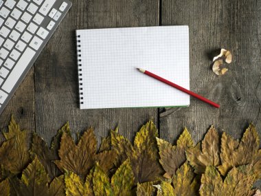 Akçaağaç yaprakları, Pc klavye ve kağıt spiral defter