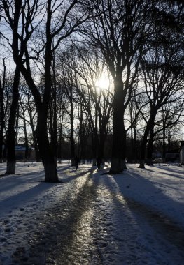 Buzlu yol, arkadan aydınlatmalı vurdu