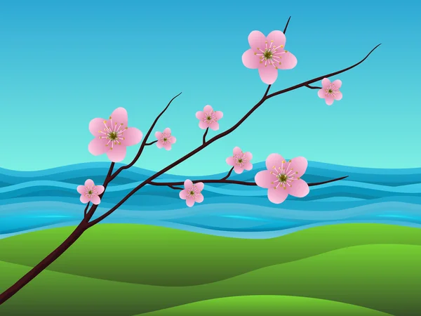 Sakura kwiat — Wektor stockowy