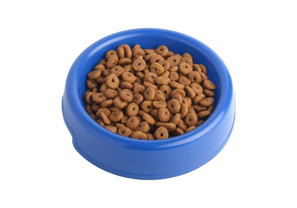 Comida seca para gatos en tazón azul —  Fotos de Stock