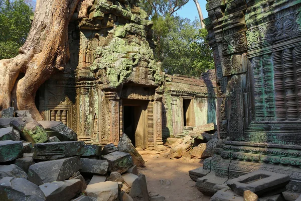 Ta Prohm temple in Cambodia — Stock Photo, Image