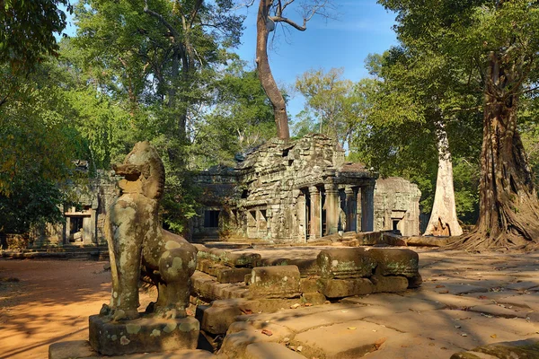 Ta Prohm templo em Angkor Wat — Fotografia de Stock