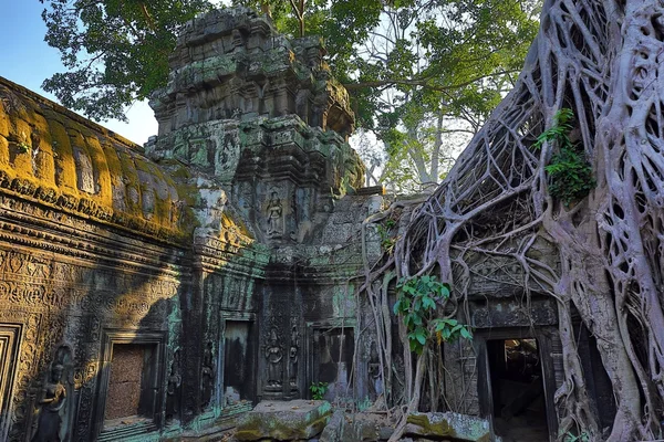 Roots covering the ruin of Ta Prohm temple — Stock Photo, Image