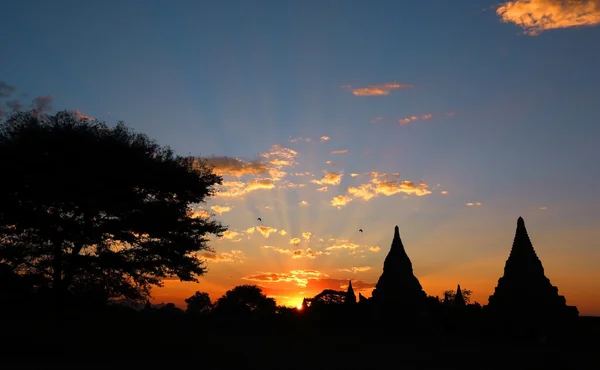 Sziluettjét templomok és fa Bagan — Stock Fotó