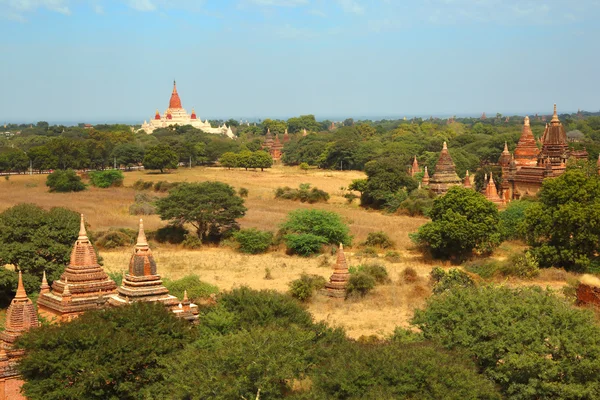 Krajina s pagoda a chrámy v Bagan — Stock fotografie