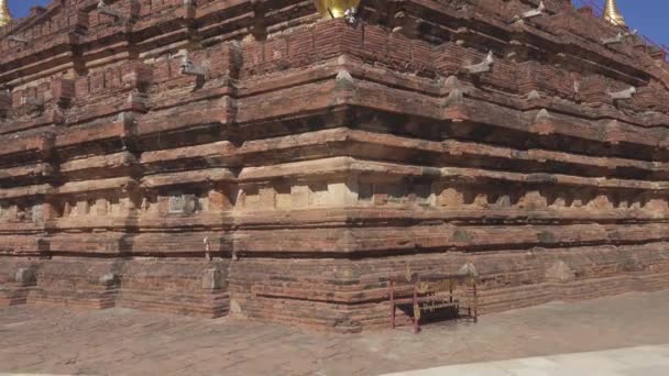 Dhamma Pagoda Bagan Myanmar Barma Tilt View — Stock video