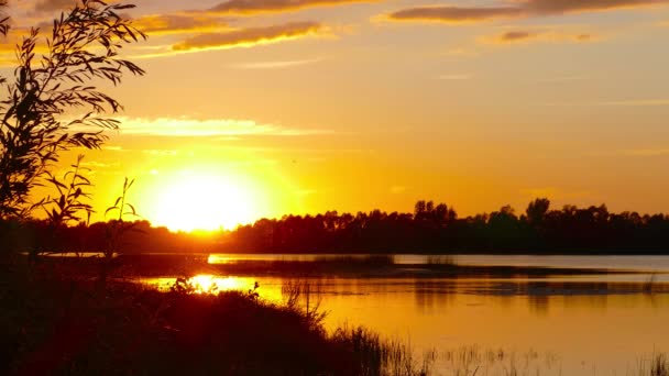 Τοπίο Ηλιοβασίλεμα Πάνω Από Λίμνη — Αρχείο Βίντεο