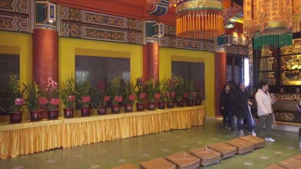 Hong Kong Kina Ruari 2016 Inredning Lin Kloster Lantau Hongkong — Stockvideo