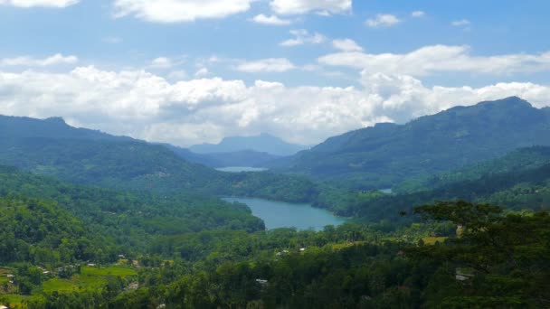 Krajobraz Górski Plantacją Herbaty Sri Lance Timelapse — Wideo stockowe