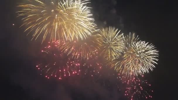 Fogos Artifício Ano Novo Chinês Hong Kong — Vídeo de Stock