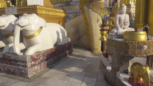 Shwedagon Paya Pagoda Proslulé Posvátné Místo Turistická Atrakce Yangon Myanmar — Stock video