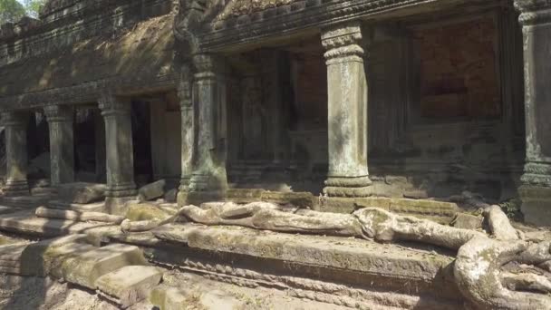 Prohm Templo Angkor Wat Siem Reap Camboja Deslizante Dolly Shot — Vídeo de Stock