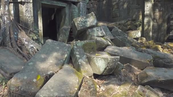 Temple Prohm Angkor Wat Siem Reap Cambodge Vue Inclinée — Video