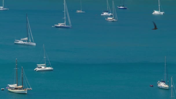 Yacht Berlabuh Teluk Laut — Stok Video