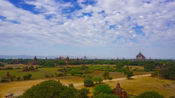 Τοπίο Ναούς Bagan Μιανμάρ Βιρμανία Timelapse — Αρχείο Βίντεο