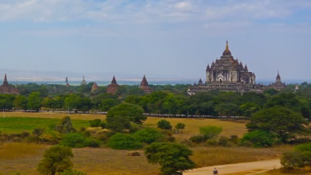Panorama Paisagem Com Templos Bagan Myanmar Birmânia Timelapse — Vídeo de Stock