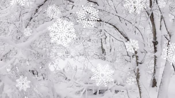 Ramas Cubiertas Nieve Bosque Invierno Fondo Animación Copo Nieve — Vídeo de stock