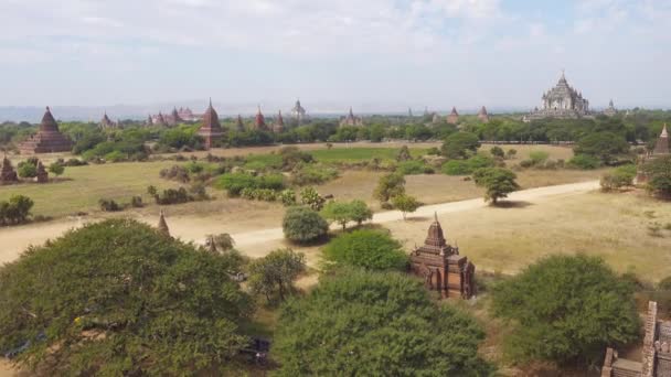 Paisaje Panorámico Con Templos Bagan Myanmar Birmania — Vídeo de stock