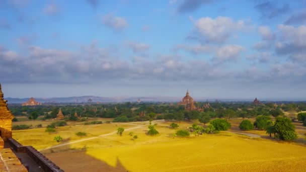 Panorama Paesaggio Con Templi Bagan Myanmar Birmania Timelapse — Video Stock
