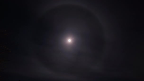 Lua Halo Céu Noturno Luz Brilhante Torno Lua Timelapse — Vídeo de Stock