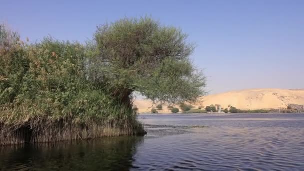 Vista Desde Barco Felucca Navegando Largo Del Río Nilo Asuán — Vídeo de stock
