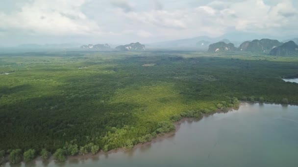 Légi Panoráma Kilátás Folyó Mangrove Erdő Torkolatok Szoros Közelében Hegyek — Stock videók