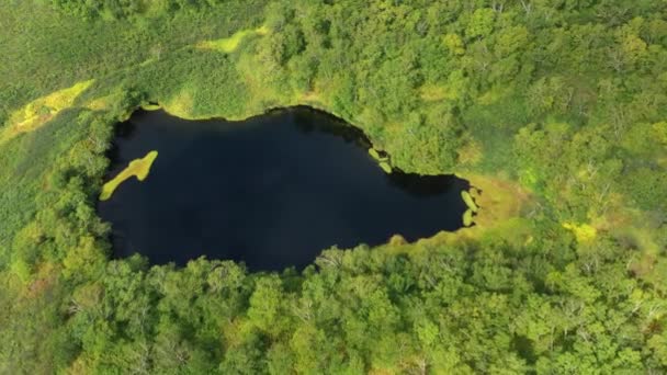 Αεροφωτογραφία Του Μπλε Λίμνη Στο Βόρειο Δάσος Kamchatka Ρωσία — Αρχείο Βίντεο