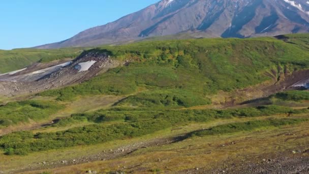 Voando Perto Vulcão Koryaksky Península Kamchatka Rússia — Vídeo de Stock