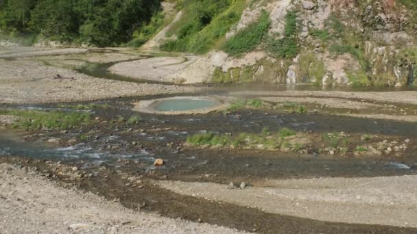 Sources Thermales Fumerolles Dans Célèbre Vallée Geysers Péninsule Kamchatka Russie — Video