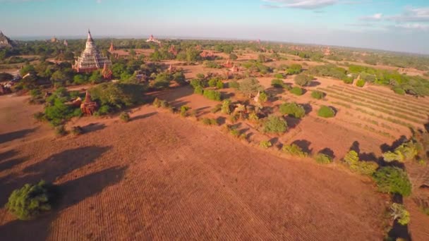 Voando Sobre Templos Bagan Noite Myanmar Birmânia — Vídeo de Stock